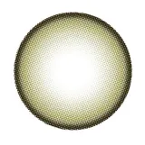 Naturali 내추럴리 원데이 UV모이스처 챠밍헤이즐14.5mm(1박스 10개들이) 썸네일 4