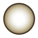 Naturali 내추럴리 원데이 챠밍브라운(1박스 30개들이) 썸네일 4