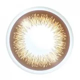 ACUVUE 원데이 아큐브 디파인 래디언트시크(1박스 30개들이) 썸네일 4