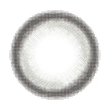 eyestar 아이스타 1day 데이글로우그레이(1박스 10개들이) 썸네일 3