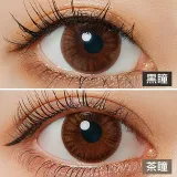 LARME 1day Moisture UV 라르므 모이스처 UV 뷰티브라운(1박스 10개들이) 썸네일 2
