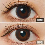 LARME 1day Moisture UV 라르므 모이스처 UV 클래식네이비(1박스 10개들이) 썸네일 2