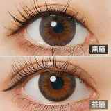 LARME 1day Moisture UV 라르므 모이스처 UV 세피아문(1박스 10개들이) 썸네일 2