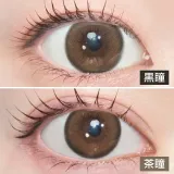 LARME 라르므 실리콘하이드로겔 2week 푸르링(1박스 6개들이) 썸네일 2