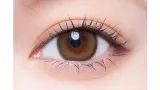 melotte 원데이 디어레터(1박스 10개들이) 썸네일 2