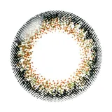 [난시용]NeoSight 네오사이트원데이시엘UV 토릭 1day 시엘그린 CYL-0.75(1박스 10개들이) 썸네일 3