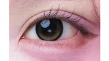 ＋nyqn 플러스냥 허니♡블랙앰버(1박스 10개들이) 썸네일 2