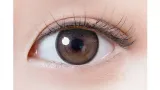 Rich standard 2week 노블브라운(1박스 6개들이) 썸네일 2