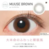 [난시용]REVIA 레비아 토릭 원데이(써클) 무스브라운 CYL-1.75 AXIS180(1박스 10개들이) 썸네일 2