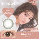 VICTORIA 2WEEK BY CANDYMAGIC 마롱(1박스 6개들이) 썸네일 1