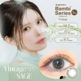 AngelColor BambiSeries1day 엔젤컬러 밤비시리즈 빈티지 원데이 빈티지세이지(1박스 10개들이) 썸네일 1