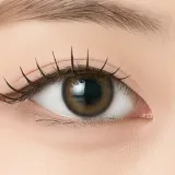 ANGELIQUE 안젤리크 1Day 예뻐브라운(1박스 10개들이) 썸네일 2