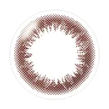 ARTIRAL 아티랄 2week UV&moist 브라운(1박스 6개들이) 썸네일 3