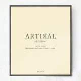 ARTIRAL 아티랄UV모이스트 1day 블랙(1박스 30개들이) 썸네일 4