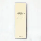 ARTIRAL 아티랄UV모이스트 1day 오크르(1박스 10개들이) 썸네일 4