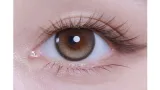 Aturia 어튜리아 1day 달리아(1박스 10개들이) 썸네일 2