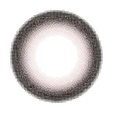 Charton 1day 피그컴포트(1박스 10개들이) 썸네일 3