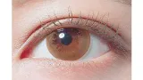 Decorative Eyes 데코라티브아이즈베일 1day 허니글라스(1박스 10개들이) 썸네일 3