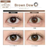 [난시용] Dewlit 듀릿 실리콘하이드로겔 1day 브라운듀 CYL-0.75(1박스 10개들이) 썸네일 2