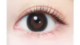 EVERCOLOR 에버컬러 1day Natural 내추럴블랙(1박스 20개들이) 썸네일 2