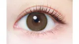 EVERCOLOR 에버컬러 1day Natural 내추럴모카(1박스 20개들이) 썸네일 2