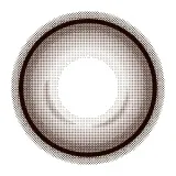 Eye Closet 아이클로젯 원데이 14.5mm 홀로브라운(1박스 10개들이) 썸네일 3