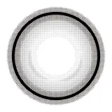 Eye Closet 아이클로젯 원데이 14.5mm 홀로그레이(1박스 10개들이) 썸네일 3