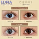EDNA 에드나 1day 무기히노키(1박스 10개들이) 썸네일 2