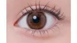 eyelist 아이리스트 원데이 피치우롱(1박스 10개들이) 썸네일 2