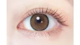 EVERCOLOR 에버컬러 1month 애프리콧브라운(1박스 2개들이) 썸네일 2