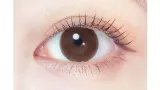 EVERCOLOR 에버컬러 1month 내추럴브라운(1박스 2개들이) 썸네일 2