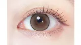 EVERCOLOR 에버컬러 1month 펄베이지(1박스 2개들이) 썸네일 2