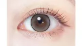 EVERCOLOR 에버컬러 1month 펄스노우그레이(1박스 2개들이) 썸네일 2