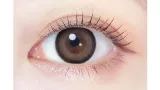 EVERCOLOR 에버컬러 1month 테디모카(1박스 2개들이) 썸네일 2