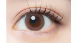EYEGENIC by EverColor 아이제닉 by 에버컬러 퓨어모어(1박스 1개들이) 썸네일 2