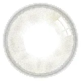 EYECICLE 아이시클 1Day 윈터(1박스 10개들이) 썸네일 3