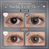 Honey Kiss 원데이 14.5mm 츄룽캣그레이(1박스 10개들이) 썸네일 2