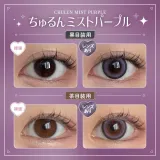 Honey Kiss 원데이 14.5mm 츄룽미스트퍼플(1박스 10개들이) 썸네일 2