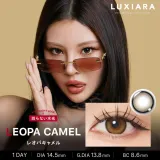 LUXIARA 1day 레오파카멜(1박스 10개들이) 썸네일 1