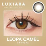 LUXIARA 1day 레오파카멜(1박스 10개들이) 썸네일 2