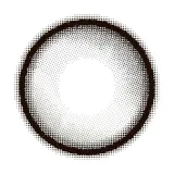 MiClair 미클레어 원데이 쿠루무그레이(1박스 10개들이) 썸네일 3