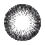 MiClair 미클레어 원데이 나마이키블랙(1박스 10개들이) 썸네일 3