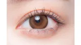 melotte 원데이 시크릿베어(1박스 10개들이) 썸네일 2