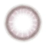 melady 원데이 라이어핑크(1박스 10개들이) 썸네일 3
