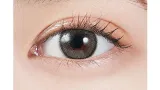 MOLAK 모라쿠 원데이 다즐그레이(1박스 10개들이) 썸네일 2