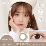 MOLAK 모라쿠 먼슬리 틴트브라운(1박스 2개들이) 썸네일 1