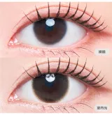 MEVILAGE 메비라주 1month 발레리나브라운(1박스 2개들이) 썸네일 2