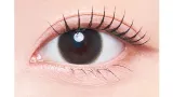 MEVILAGE 메비라주 1month 데스티니브라운(1박스 2개들이) 썸네일 2