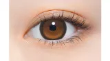 Perse 원데이 써니베어(1박스 10개들이) 썸네일 2
