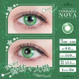 Perfect Series 퍼펙트시리즈 코스마기아 NOVA PN02 유드그라실(1박스 6개들이) 썸네일 2